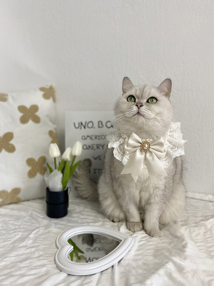Lace Bib Style Pet Bandana for Cats & Small Dogs  MOE0015