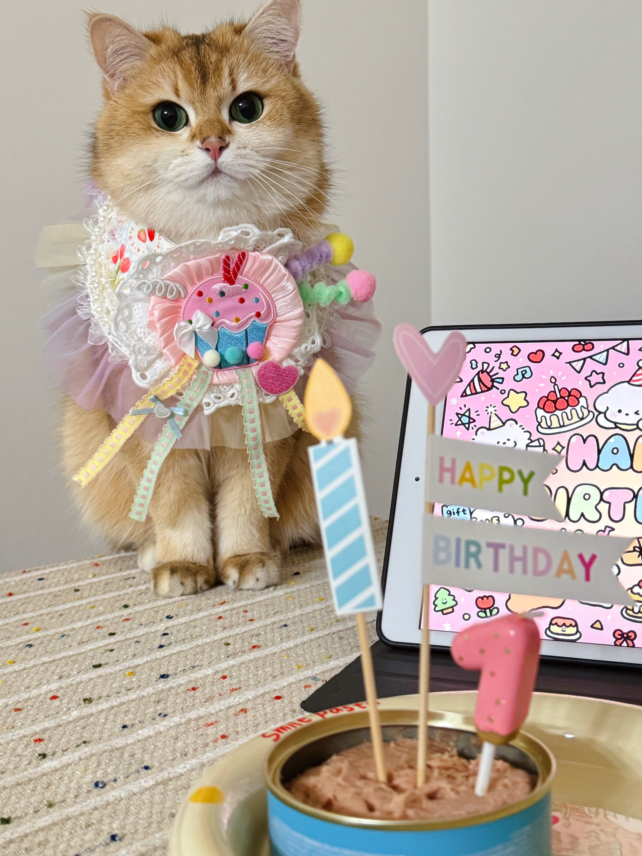 Princess Lace Pet Bib – Elastic Birthday Scarf for Cats & Dogs  MOE0021