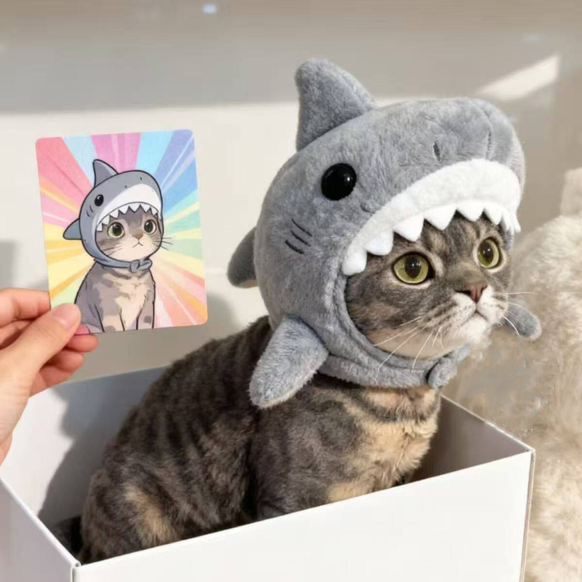 Dog Hat & Cat Hood – Spring/Fall/Winter Pet Headwear  MOE0031
